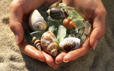 Hey Tourists: Leave Those Shells on the Beach, Would Ya?
